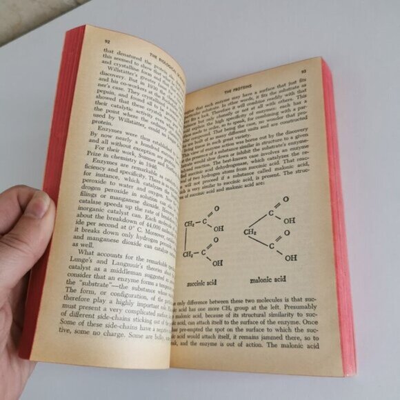 1964 Intelligent Man's Guide to the Biological Sciences Paperback Isaac Asimov - Picture 7 of 9